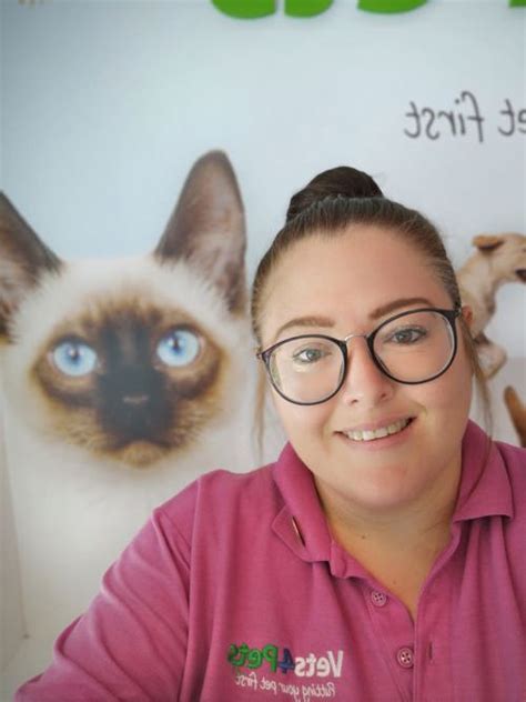 telephone number for vets4pets|Vets4Pets Caerphilly .